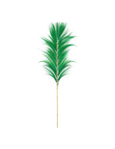 Feuille pampa vert émeraude - Ensemble de 6