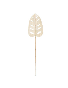 Feuille tige jacinthe d'eau - Naturelle